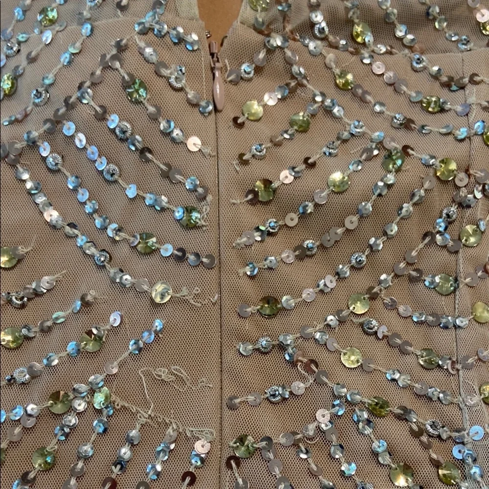 Elegant Sequined Dress in Champagne Gold - Picture 6 of 14